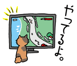 Couple cycling is a hobby. (Roadbike) sticker #10125503