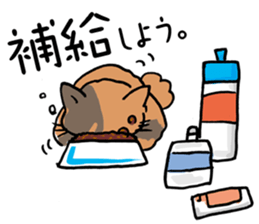 Couple cycling is a hobby. (Roadbike) sticker #10125506