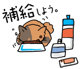 Couple cycling is a hobby. (Roadbike) sticker #10125506