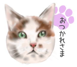 Garden of the cat sticker #10127072