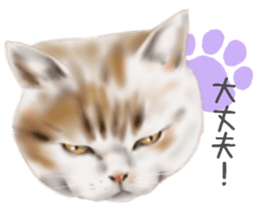 Garden of the cat sticker #10127074