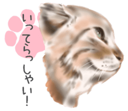 Garden of the cat sticker #10127076