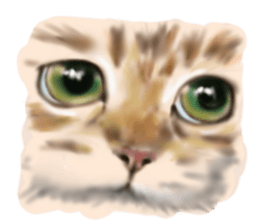 Garden of the cat sticker #10127077