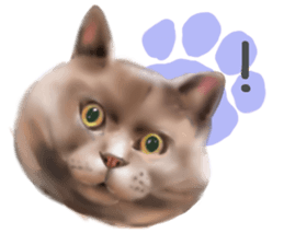 Garden of the cat sticker #10127078