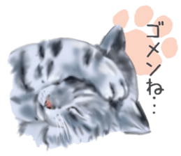 Garden of the cat sticker #10127079