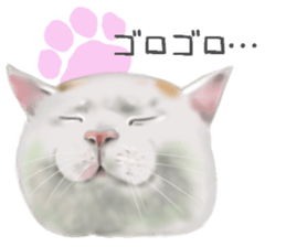 Garden of the cat sticker #10127080