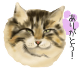 Garden of the cat sticker #10127082