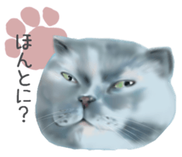 Garden of the cat sticker #10127083