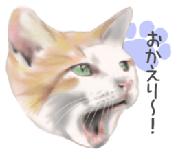 Garden of the cat sticker #10127084