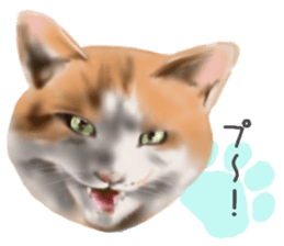 Garden of the cat sticker #10127085