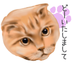 Garden of the cat sticker #10127086