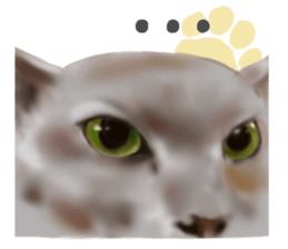 Garden of the cat sticker #10127087