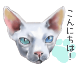 Garden of the cat sticker #10127088