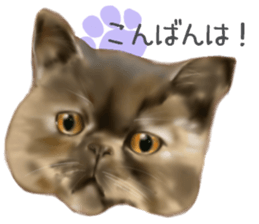 Garden of the cat sticker #10127089