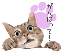 Garden of the cat sticker #10127090