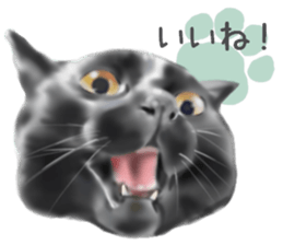 Garden of the cat sticker #10127091