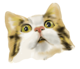 Garden of the cat sticker #10127093