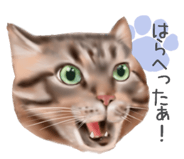 Garden of the cat sticker #10127096