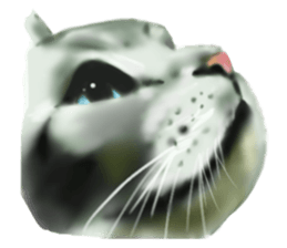 Garden of the cat sticker #10127097