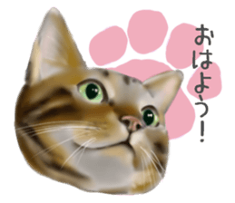 Garden of the cat sticker #10127098