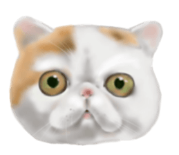 Garden of the cat sticker #10127099