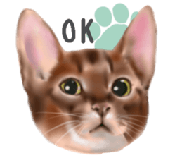 Garden of the cat sticker #10127100