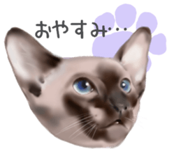 Garden of the cat sticker #10127101