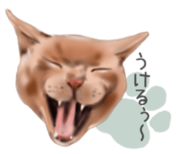 Garden of the cat sticker #10127102