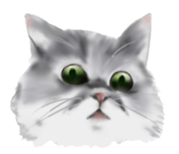 Garden of the cat sticker #10127104