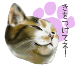 Garden of the cat sticker #10127105