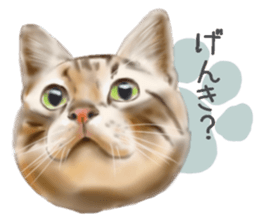 Garden of the cat sticker #10127106