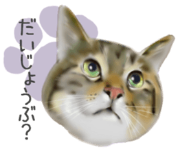 Garden of the cat sticker #10127107