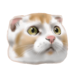 Garden of the cat sticker #10127110