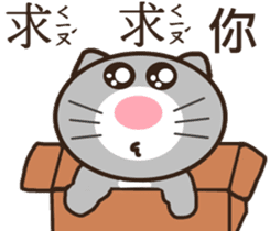 Ash Kat cat (loves handsome charmer) sticker #10127267