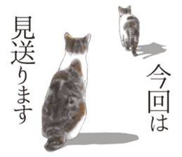 An appearance NG, Back says 4 sticker #10128251