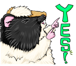 TOMBOY SUZU sticker #10129281