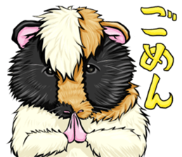 TOMBOY SUZU sticker #10129283