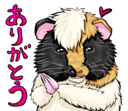 TOMBOY SUZU sticker #10129284