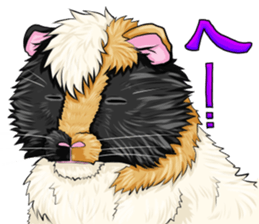 TOMBOY SUZU sticker #10129286