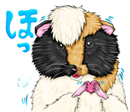 TOMBOY SUZU sticker #10129292