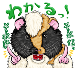 TOMBOY SUZU sticker #10129296