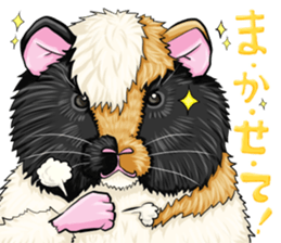 TOMBOY SUZU sticker #10129297