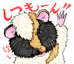 TOMBOY SUZU sticker #10129298