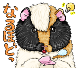 TOMBOY SUZU sticker #10129299