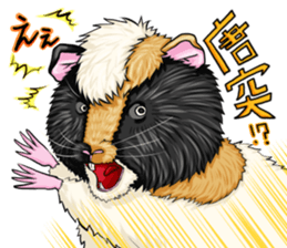 TOMBOY SUZU sticker #10129300