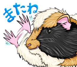 TOMBOY SUZU sticker #10129302