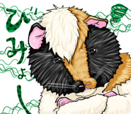 TOMBOY SUZU sticker #10129308