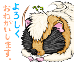 TOMBOY SUZU sticker #10129310