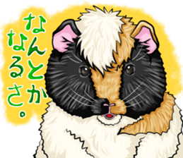 TOMBOY SUZU sticker #10129312