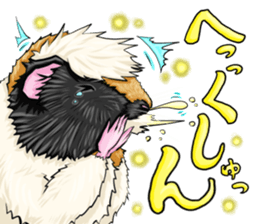 TOMBOY SUZU sticker #10129316